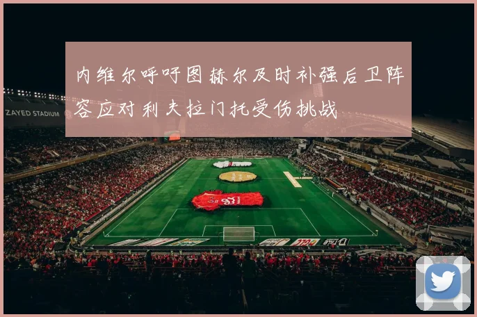 内维尔呼吁图赫尔及时补强后卫阵容应对利夫拉门托受伤挑战
