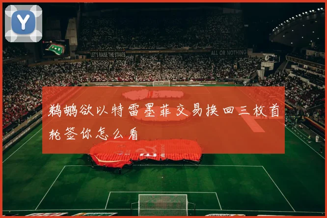 鹈鹕欲以特雷墨菲交易换回三枚首轮签你怎么看