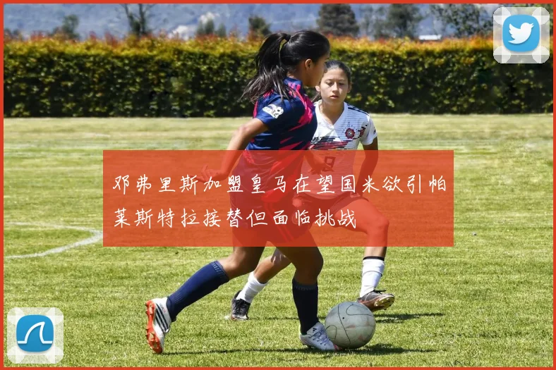 邓弗里斯加盟皇马在望国米欲引帕莱斯特拉接替但面临挑战